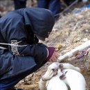 순진축산 이미지