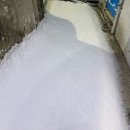 (주)흰물결 (화이트홀) | 축하 많이 받은 한 달🍀🤍🎊