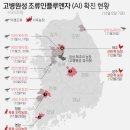 김일환 농장 이미지