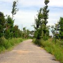 서해농장 이미지