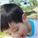 자양하나유치원 이미지