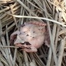 월학농장 이미지