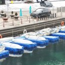 사계절 바다맛집 이미지