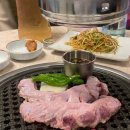 돼지나무 사랑걸렸네 이미지