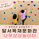 상상나무 | 달성목재문화관 나무상상놀이터 후기｜유아 실내놀이터 찾는다면 여기