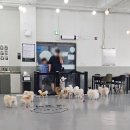 칠성프라자 국민은행 앞 | 울산 성남동 애견카페 펫빌리지 중구 놀거리 이색데이트 추천