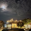 베리코스 이미지