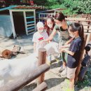 (주)힐링팜 이미지