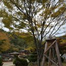 아름다운산골