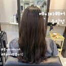 응암역 미용실 에이바헤어 응암점 송이디자이너 클리닉 후기