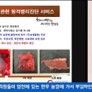 J.K 펫샵 이미지
