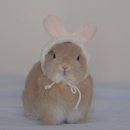 🐰 OMG 2023..