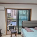 세란병원
