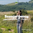 NR-6[경강로]-하-134 | 선자령 등산코스 소요시간과 난이도 정보, 플로깅 후기