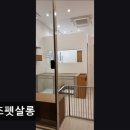 오즈펫살롱 | (수원, 강아지, 고양이, 애견미용, 추천!) 오즈펫살롱 수원 오즈펫살롱, 맞춤 케어가 뛰어나요