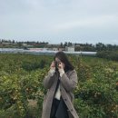 공천포 민박 이미지