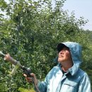 삽티농장 이미지