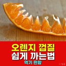 오렌지 이미지