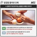 당신이 몰랐던 완전식품 달걀의 오해와 진실 이미지