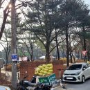 독골푸드 네이버블로그