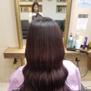 강스 헤어