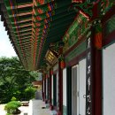 세웅상회 | ♬ [200대 명산] 상주 갑장산 산행(3)