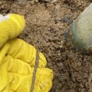 소계동010 이미지