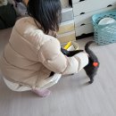 챠이챠이 - 의정부시 평화로 374 | 하오츠가기로 했는데 독감걸려서 진숭이 울집으로 초대한 불효후기,,,