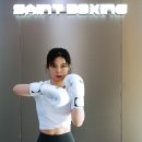 세인트복싱 이미지