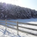 서삼릉길 이미지