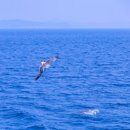 청산도올레펜션 이미지