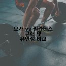 요가와 필라테스 이미지