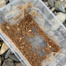 강동로-20 이미지