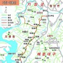 3월 24일 사주차 회동동 아홉산 철마 대나무숲 근교산행 이미지