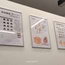 모스테틱남양주점 | 남양주 별내, 출산 후 탈모 관리하러 '모스테틱 남양주점' 에서 두피관리 받은 후기