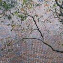 햇빛펜션 이미지