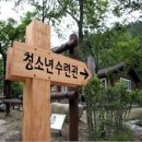 남한의 정중앙 불정(佛頂) 자연휴양림(自然休養林)을 가다!! 이미지