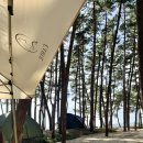 캠프일지 | 노을이 미친 바다뷰 캠핑장 !🏕️ 태안 노을숲캠핑장 숲존 후기