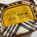 멍댕이 애견유치원 이미지