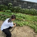 현일농장 이미지