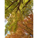 윤후동물병원 이미지