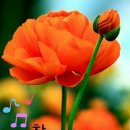 행복가득 이미지