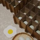 순천청계농장 | 퀄리티가 다른 프리미엄 청계란 추천, 참옻먹은청계란