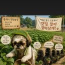 응석농장 네이버블로그