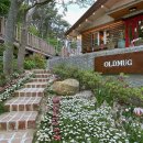 올드머그 이미지