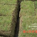 경안산소 이미지