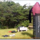 세광푸른주유소