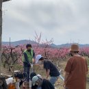 치유농업공동체토담토담