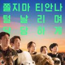 진흥 에이스 이미지