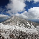 서면사무소(양양) 이미지